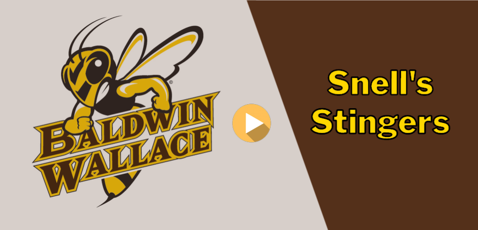 Snell's Stingers